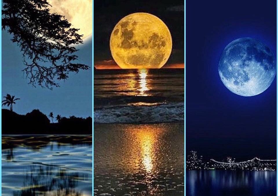 Kaj vam prinaša polna Luna?